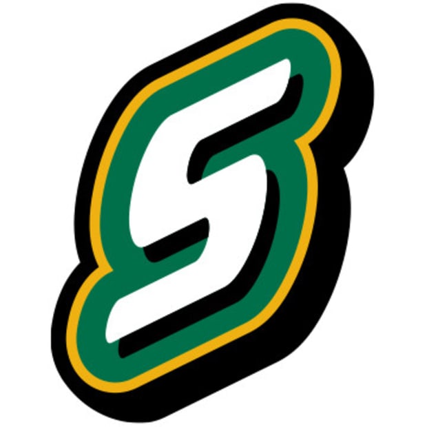 Southeastern Louisiana Lions Logo